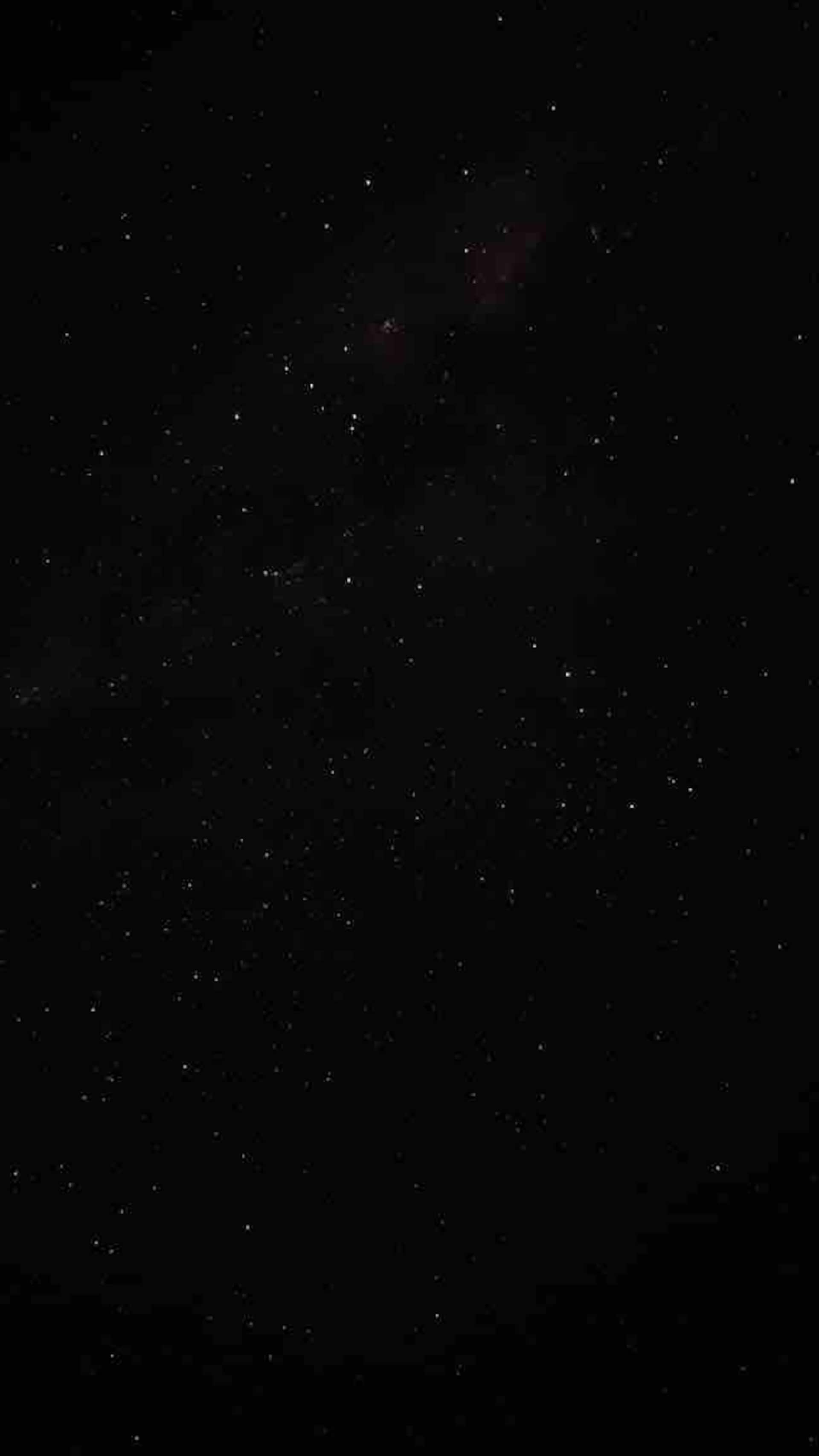 Cielo completamente estrellado sobre el bosque, sin luces de ciudad